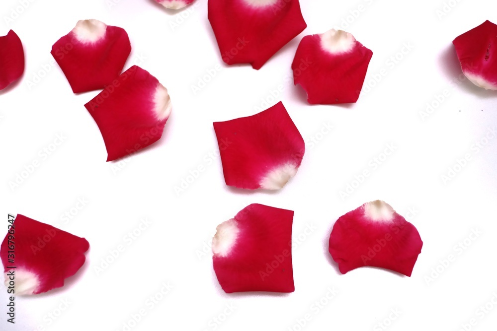 Blurred a group of sweet red rose corollas on white isolated background Blurred a group of sweet red rose corollas on white isolated background