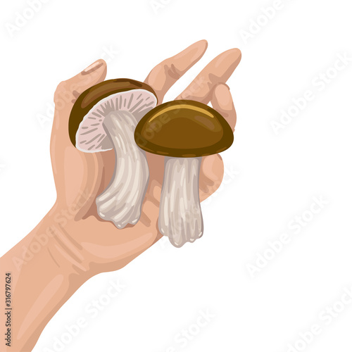 Keep brown mushrooms. Two mushrooms in the hand of man. Vector flat illustration