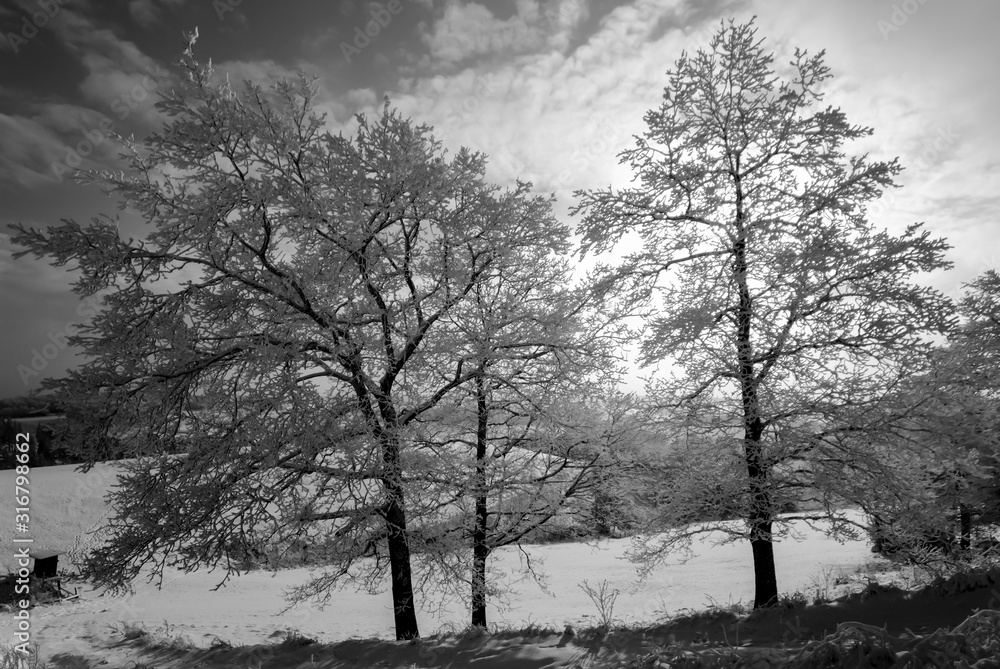 Winter Landschaft Bäume Schnee Bäume Natur Deutschland Weihnachten Sport  Wandern Sonne Struktur Hintergrund Schneedecke Eis Kristalle Wonderland  Iserlohn Altena Nachrodt-Wiblingwerde Stock Photo | Adobe Stock
