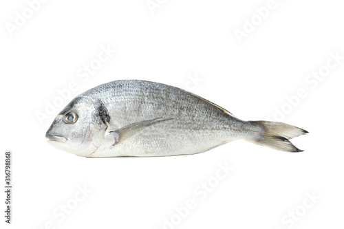 Fresh Dorado fish isolated on white background