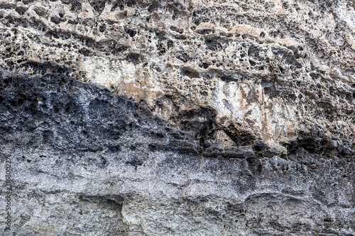 Background, texture of grey rock. Texture, background of shell rock. © Andriy Medvediuk