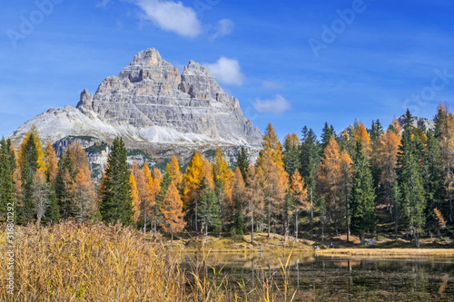 Mountain Drei Zinnen and larch trees in autumn colours around Lake Lago d'Antorno in the Tre Cime Natural Park, Dolomites, South Tyrol, Italy