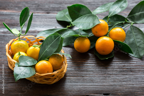 Citrus calamondine with leaves in basket on wooden board. photo