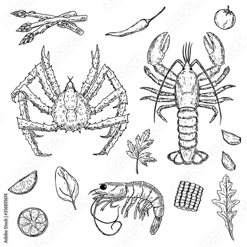 Set of hand-drawn seafood. Crustacea. Vector cartoon illustrations. Isolated objects on a white background.