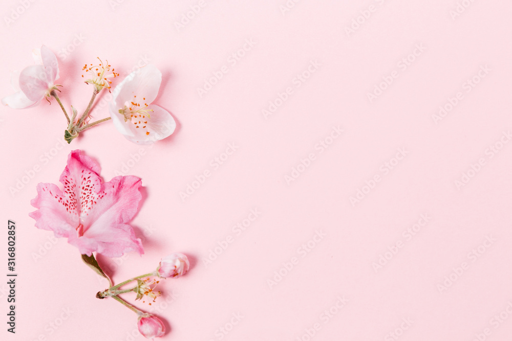 Festive flower composition on the pink background. Overhead view