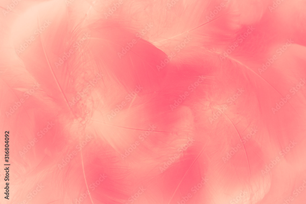 Fototapeta premium Beautiful abstract colorful white and red feathers on white background and soft white pink feather texture on pink pattern and light red background