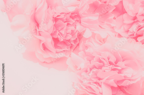 Beautiful abstract color orange purple and pink flowers on white background and white flower frame and pink leaves texture, light pink background, colorful pink banner happy valentine.