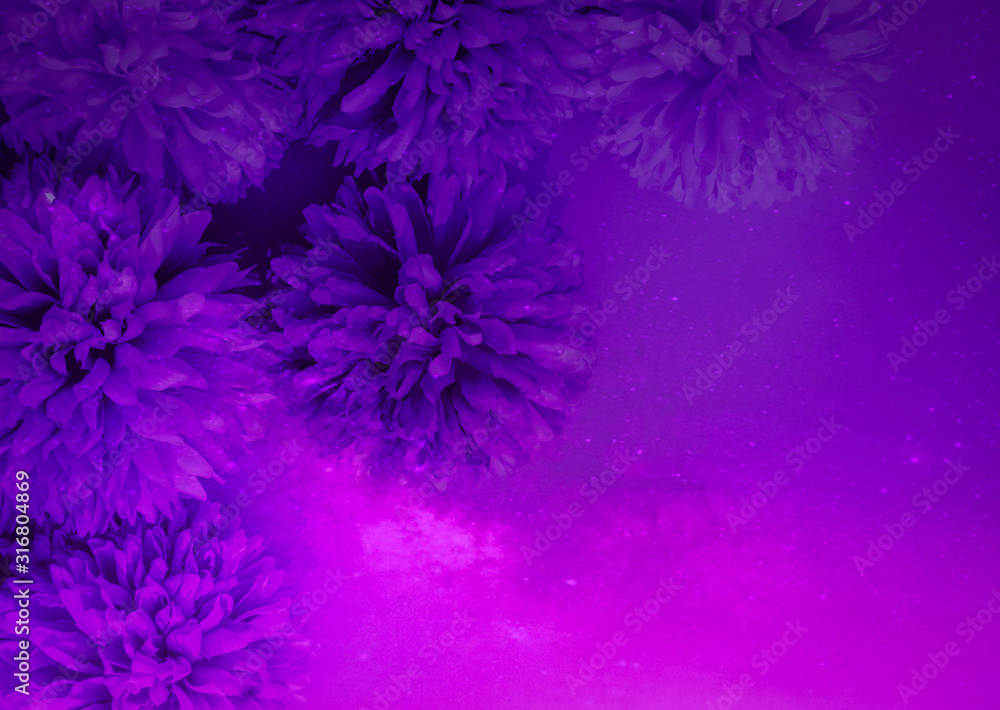 Beautiful abstract color purple and pink flowers on lightning background and purple flower frame and pink leaves texture, colorful pattern love valentine day Beautiful abstract color purple and pink flowers on lightning background and purple flower frame and pink leaves texture, colorful pattern love valentine day