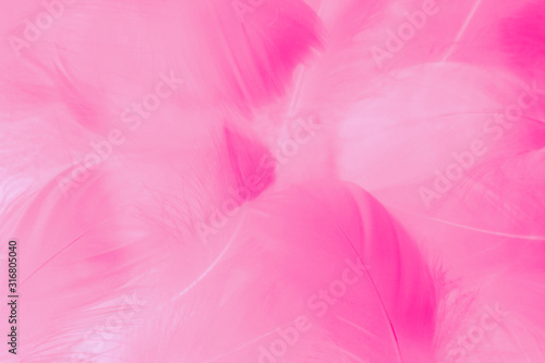Beautiful abstract colorful white and red feathers on white background and soft white pink feather texture on pink pattern and light red background  love valentine day