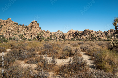 mountain view in the desert of Joshua tree national park, California