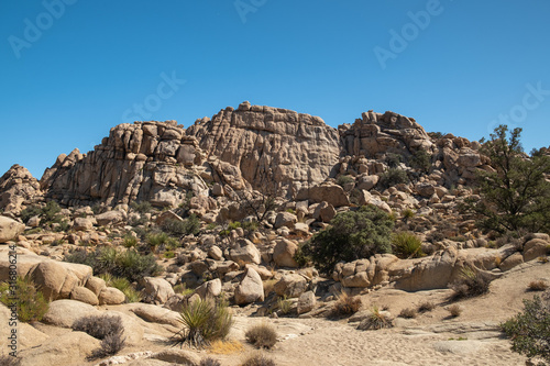 Stones and scenic view in Joshua tree national park, california