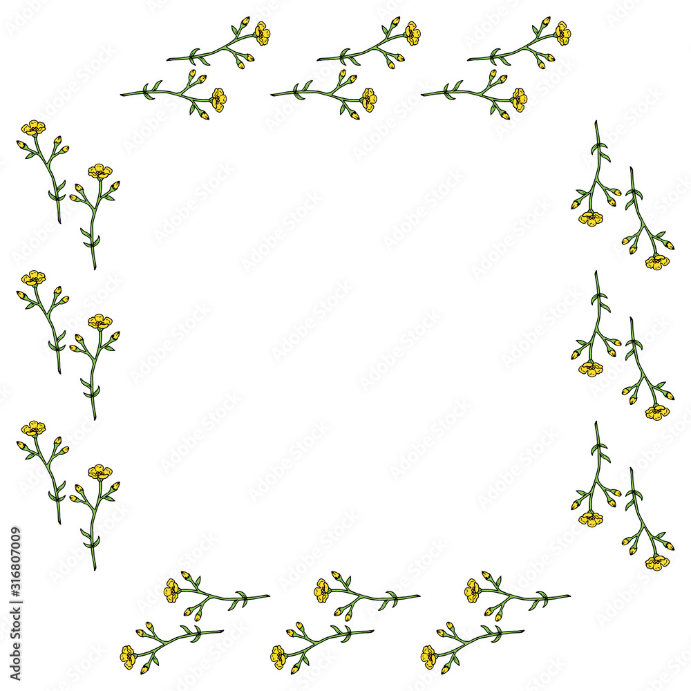 Square frame with horizontal vector buttercups on white background. Isolated frame with flowers for your design.