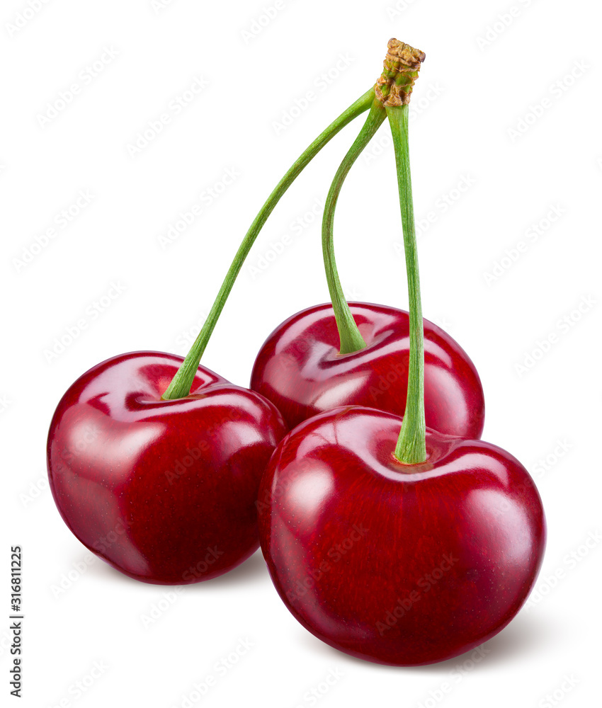 Cherry isolated. Cherries on white. Sour cherries. With clipping path. Cherry isolated. Cherries on white. Sour cherries. With clipping path.