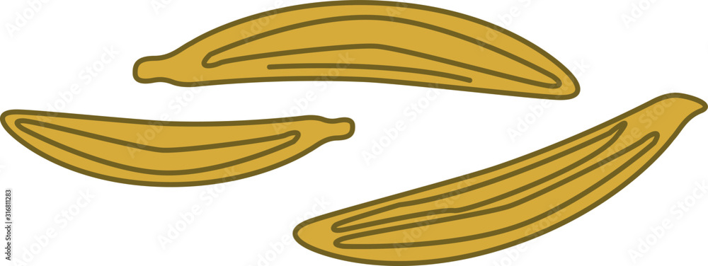 Fototapeta premium cumin icon, vector illustration