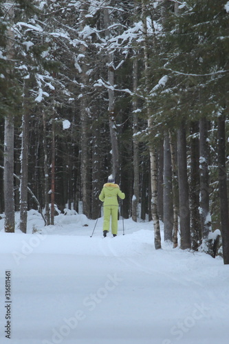 Skier winter forest. Nature landscape.