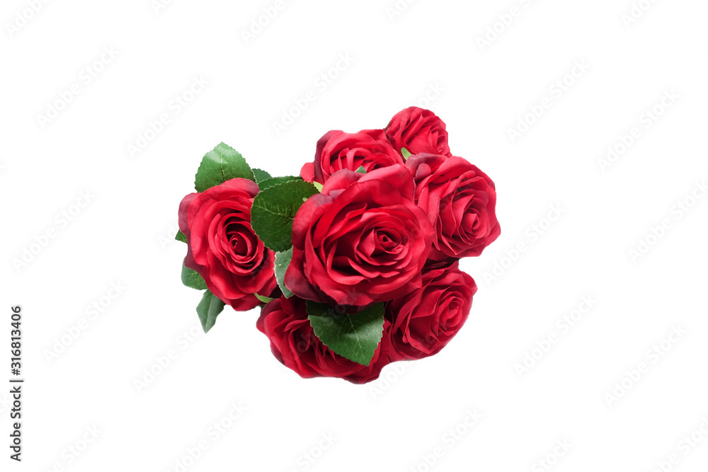 A beautiful red rose blooming A beautiful red rose blooming