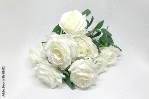  White roses and white backgrounds © Napatsorn