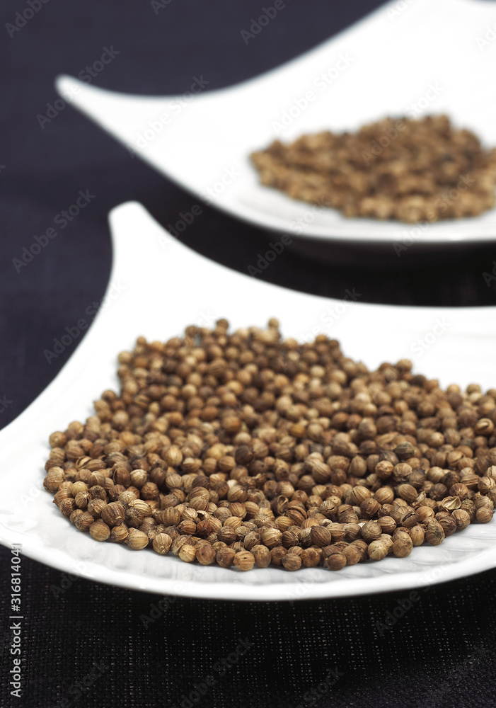 CORIANDRE coriandrum sativum CORIANDRE coriandrum sativum