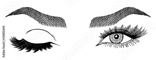 Illustration with woman's eye wink, eyebrows and eyelashes. Makeup Look. Tattoo design. Logo for brow bar or lash salon.
