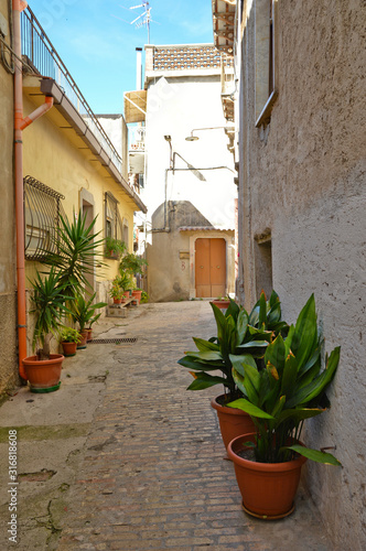 Fototapeta Naklejka Na Ścianę i Meble -  Castelcivita, Italy. A narrow street between the old houses of a medieval village