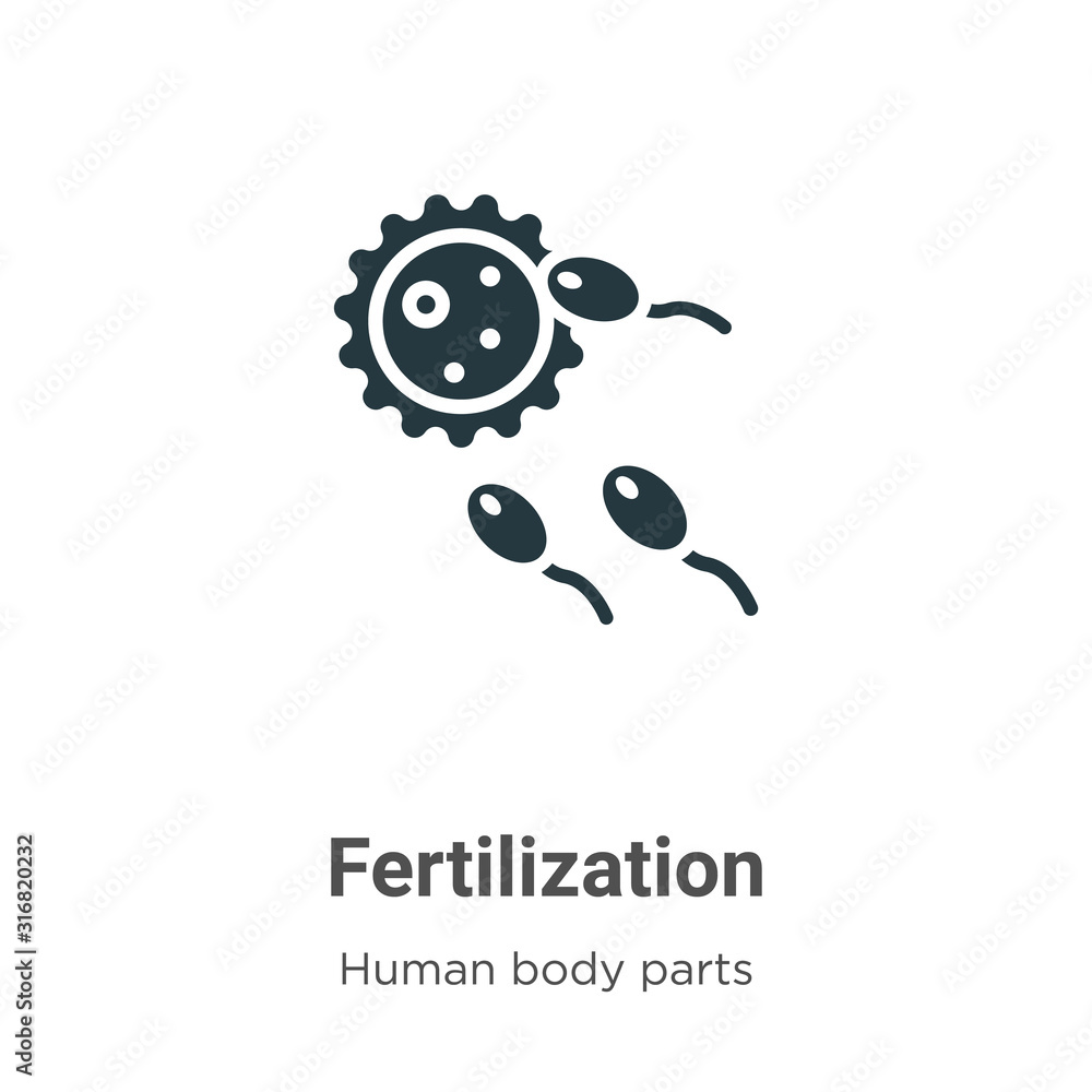 Fertilization glyph icon vector on white background. Flat vector ...