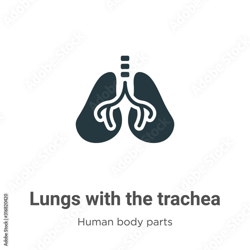Lungs with the trachea glyph icon vector on white background. Flat vector lungs with the trachea icon symbol sign from modern human body parts collection for mobile concept and web apps design.