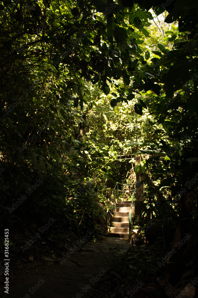 Obraz premium sendero natural