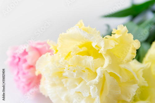 黄色いトルコキキョウ