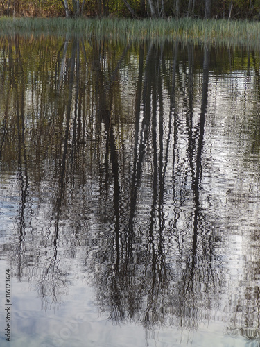 abstract image of tree with water reflection