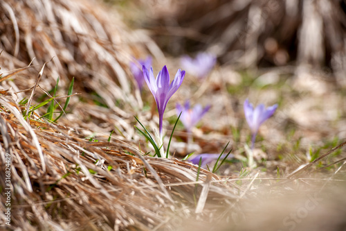 APPENNINO TOSCO EMILIANO | PARCO APPENNIN0