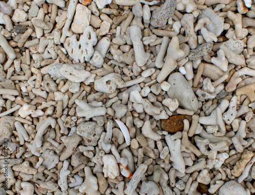 Coral Beach at Nudey Beach Fitzroy Island detailed Background. photo