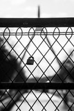 closeup of love padlock on metallic fence on blurred landscape background in black and white