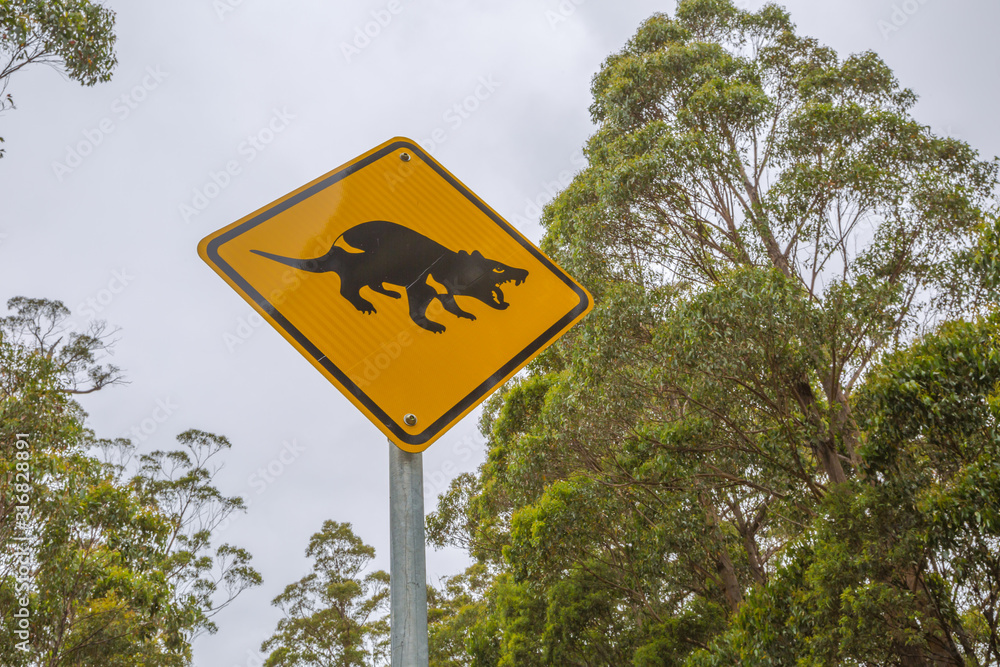 Closeup of warning sign for Tasmanian Devil crossing on Tasman Peninsula road