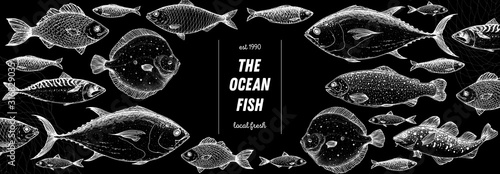 Fish sketch collection. Hand drawn vector illustration. Seafood frame. Food menu illustration. Hand drawn tuna, flounder, cod fish, herring, rainbow trout, mackerel, salmon, perch. Engraved style