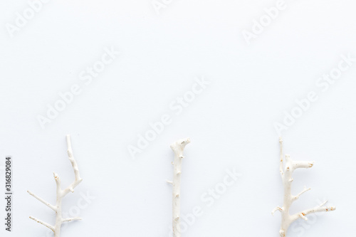 Valentine Day background . White branch  natural creative composition top view background with copy space for your text. Flat lay.