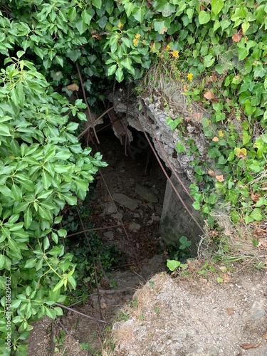 old house in the forest