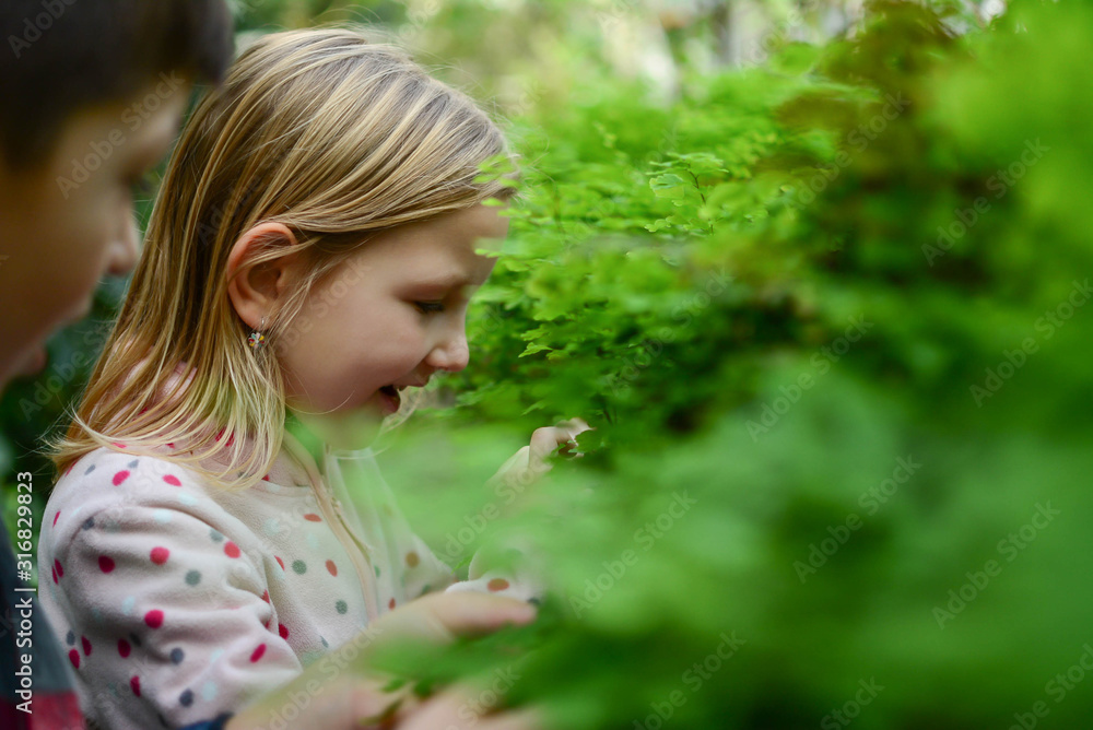 Adorable girl and boy enjoy exploring in a diverse tropical flora in secret garden. Children, people, preschool and greenhouse concept. Adorable girl and boy enjoy exploring in a diverse tropical flora in secret garden. Children, people, preschool and greenhouse concept.