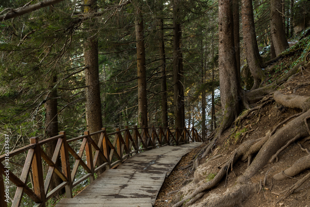 Wooden Fence Mountain Altindere Valley Park Turkey Trabzon Wooden Fence Mountain Altindere Valley Park Turkey Trabzon