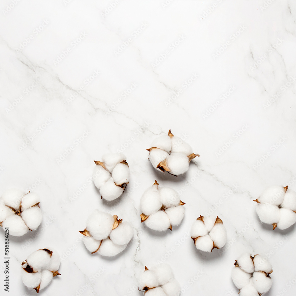 Cotton flowers on a marble background. Natural product concept, decor, home decoration, interior. Square. Flat lay, top view Cotton flowers on a marble background. Natural product concept, decor, home decoration, interior. Square. Flat lay, top view