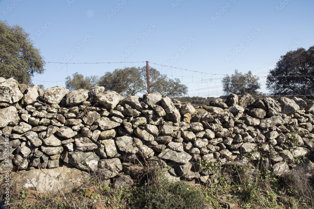 The stone walls are used in the cattle and pig farms of the oaks of oaks and cork oaks of Andalusia to prevent the animals from escaping