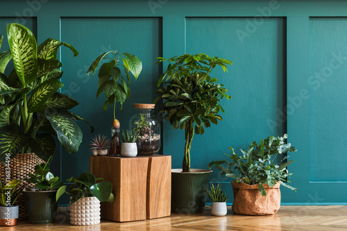 Modern composition of home garden filled a lot of beautiful plants, cacti, succulents, air plant in different design pots. Stylish botany interior. Green wall paneling. Template Home gardening concept