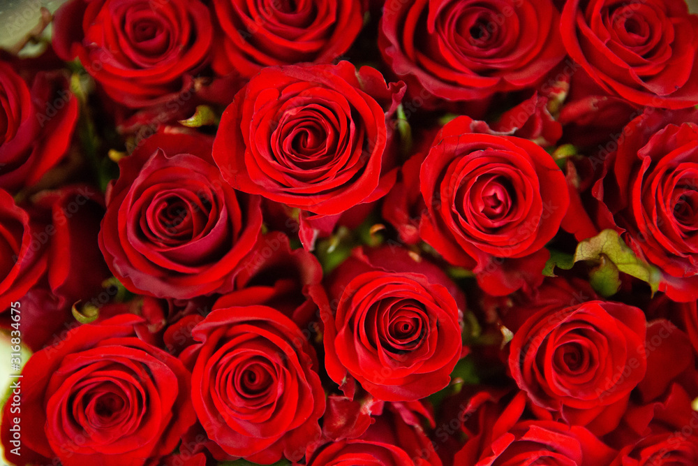 Photo of trendy flowers for graphic and web design. Floral image for web or mobile app Photo of trendy flowers for graphic and web design. Floral image for web or mobile app