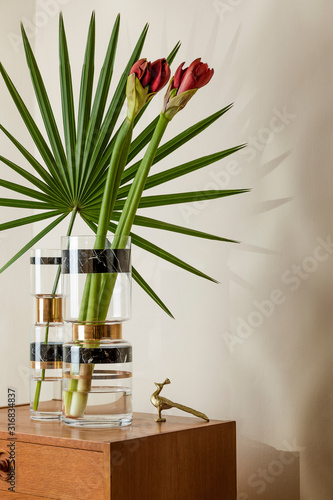 Stylish and floral composition of beautiful flowers and leaf in modern vases on the retro wooden commode with elegant accessories. Blossom concept with shadows on the beige wall. Interior design. 