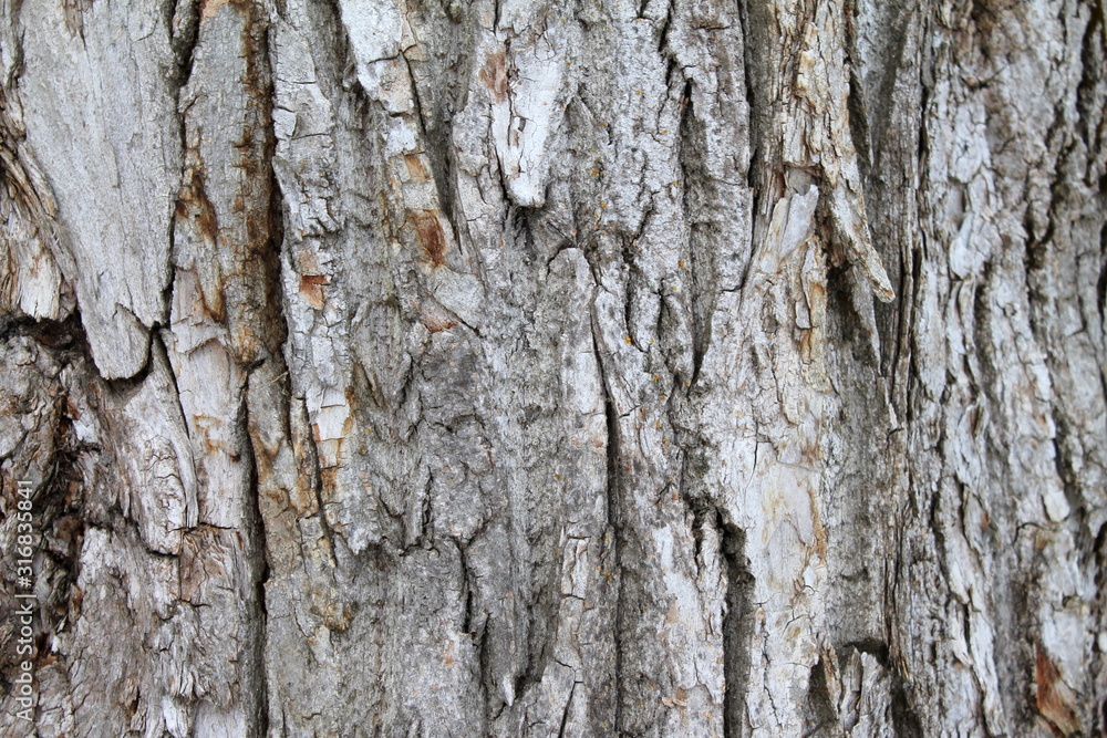 Fototapeta premium Vintage closeup for wallpaper design.