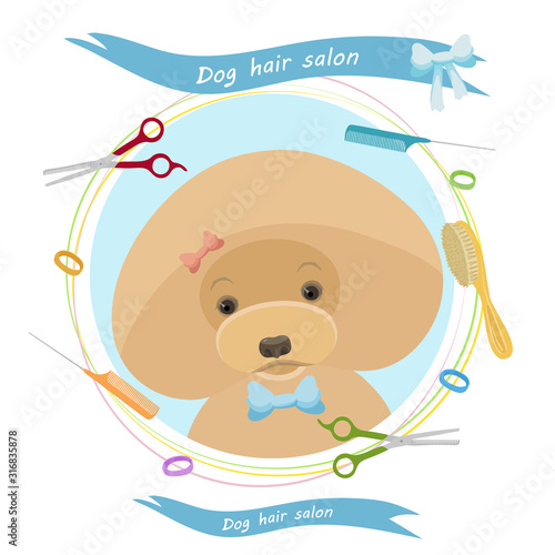 Cute dog at groomer salon. Pet grooming concept. Vector illustration for pet hair salon, styling and grooming shop, pet store for dogs and cats. Poodle illustration. Animals banner.