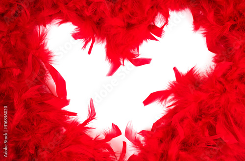 Valentine heart in feathers.