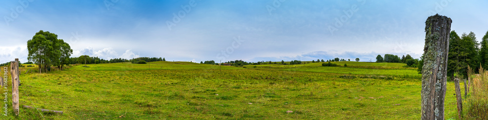 Panoramic view of a meadow for grazing cows on a cloudy day after rain.