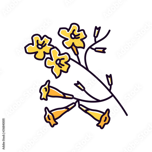 Plumeria yellow RGB color icon. Ipe tree. Tropical blossom. Brazilian flower. South american plant. Exotic floret. Botany. Isolated vector illustration