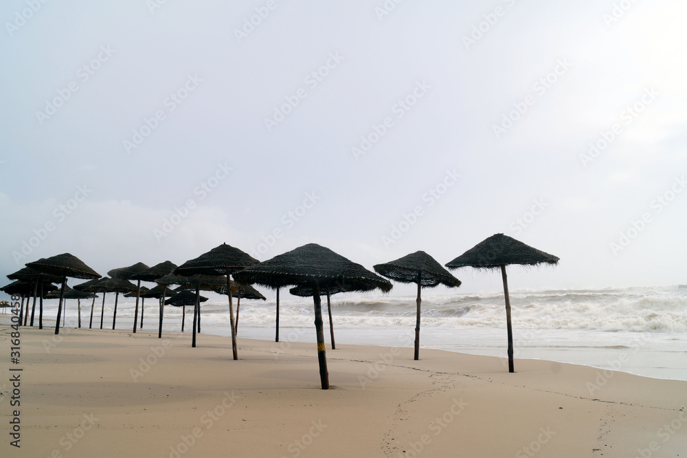 umbrellas on the beach