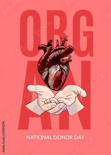 Human heart in hands, organ donor day poster